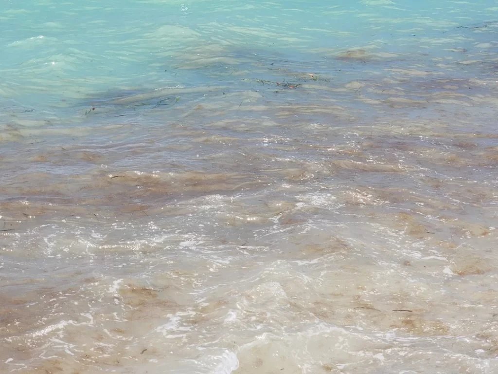 Ocean water as a metaphor for calm abiding